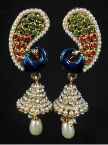 Fashion Earrings